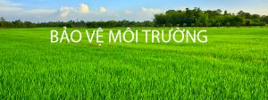 BAO VE MOI TRUONG