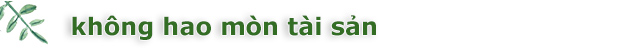 không hao mòn tài sản
